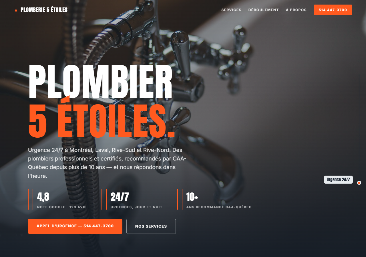 Emergency plumbing website concept